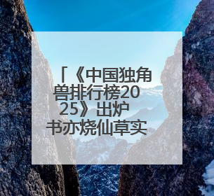 《中国独角兽排行榜2025》出炉 书亦烧仙草实力上榜