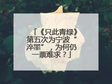 《只此青绿》第五次为宁波“淬墨”，为何仍一票难求？