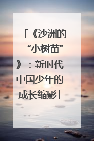 《沙洲的“小树苗”》：新时代中国少年的成长缩影