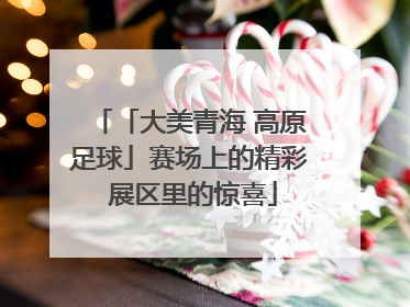 「大美青海 高原足球」赛场上的精彩 展区里的惊喜