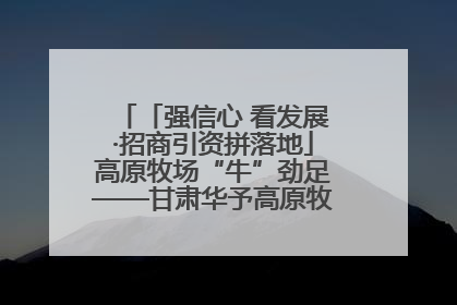 「强信心 看发展·招商引资拼落地」高原牧场“牛”劲足——甘肃华予高原牧场高标准奶牛肉牛养殖项目一线见闻