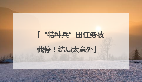 “特种兵”出任务被截停！结局太意外