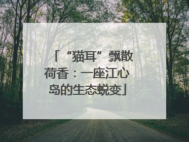 “猫耳”飘散荷香：一座江心岛的生态蜕变