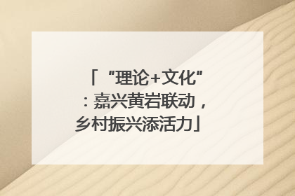 “理论+文化”：嘉兴黄岩联动，乡村振兴添活力
