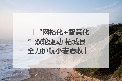 “网格化+智慧化”双轮驱动 柘城县全力护航小麦夏收