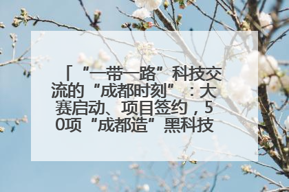 “一带一路”科技交流的“成都时刻”：大赛启动、项目签约，50项“成都造”黑科技吸引多国客商