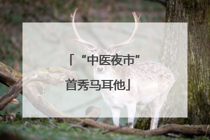“中医夜市”首秀马耳他