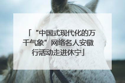 “中国式现代化的万千气象”网络名人安徽行活动走进休宁