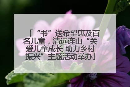 “书”送希望惠及百名儿童，清远连山“关爱儿童成长 助力乡村振兴”主题活动举办