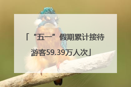 “五一”假期累计接待游客59.39万人次