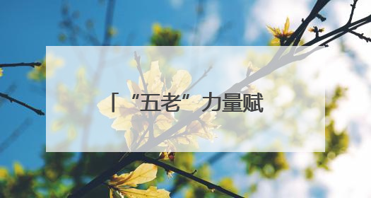 “五老”力量赋能基层消防治理