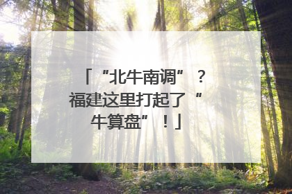 “北牛南调”？福建这里打起了“牛算盘”！