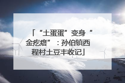“土蛋蛋”变身“金疙瘩”：孙伯镇西程村土豆丰收记