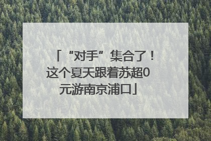 “对手”集合了！这个夏天跟着苏超0元游南京浦口