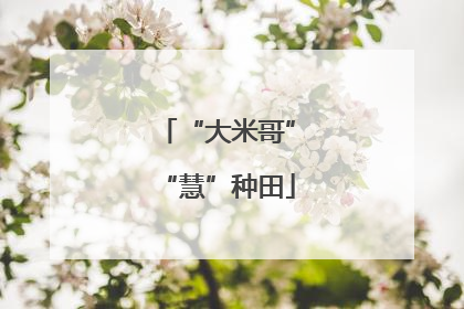 “大米哥”“慧”种田