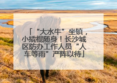 “大水牛”坐镇，小撬棍随身！长沙城区防办工作人员“人车等雨”严阵以待
