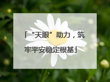 “天眼”助力，筑牢平安稳定根基