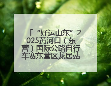 “好运山东”2025黄河口（东营）国际公路自行车赛东营区龙居站 完美“抄作业”，苦战最后时刻黄衫易主