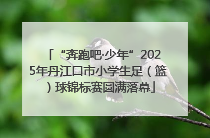 “奔跑吧·少年”2025年丹江口市小学生足（篮）球锦标赛圆满落幕