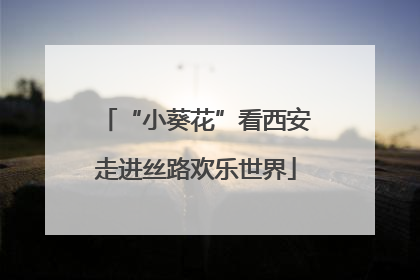 “小葵花”看西安走进丝路欢乐世界