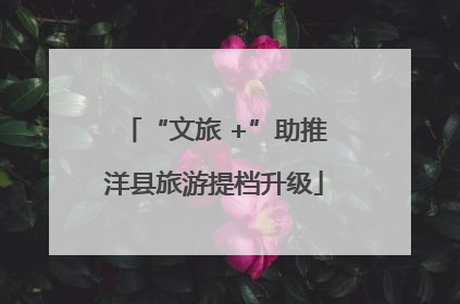 “文旅 +”助推洋县旅游提档升级