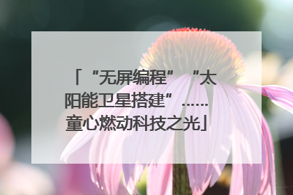 “无屏编程”“太阳能卫星搭建”……童心燃动科技之光