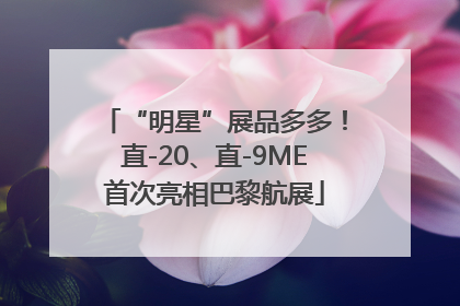 “明星”展品多多！直-20、直-9ME首次亮相巴黎航展