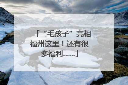 “毛孩子”亮相福州这里！还有很多福利……