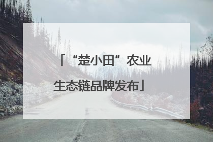 “楚小田”农业生态链品牌发布