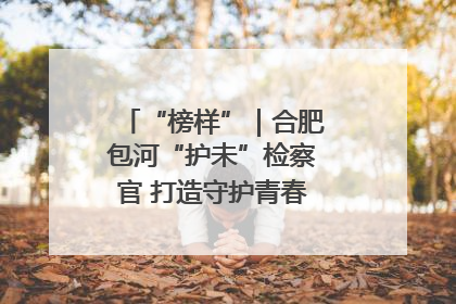 “榜样”｜合肥包河“护未”检察官 打造守护青春成长的永恒灯塔