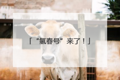 “氢春号”来了！