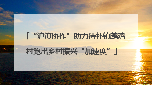 “沪滇协作”助力待补镇鹧鸡村跑出乡村振兴“加速度”