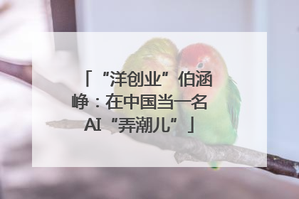 “洋创业”伯涵峥：在中国当一名AI“弄潮儿”
