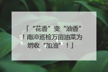 “花香”变“油香”！南漳巡检万亩油菜为增收“加油”！