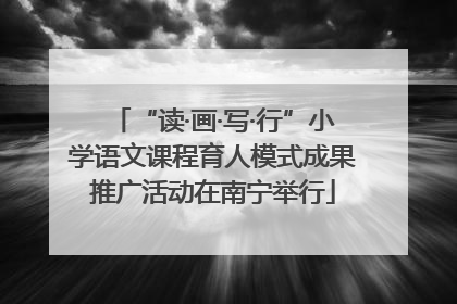 “读·画·写·行”小学语文课程育人模式成果推广活动在南宁举行