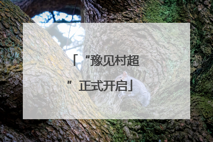 “豫见村超”正式开启