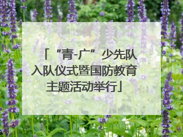 “青-广”少先队入队仪式暨国防教育主题活动举行