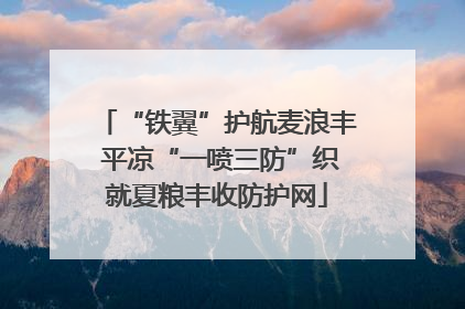 “铁翼”护航麦浪丰 平凉“一喷三防”织就夏粮丰收防护网