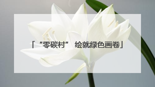 “零碳村” 绘就绿色画卷