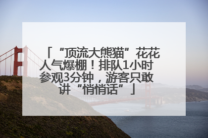 “顶流大熊猫”花花人气爆棚！排队1小时参观3分钟，游客只敢讲“悄悄话”