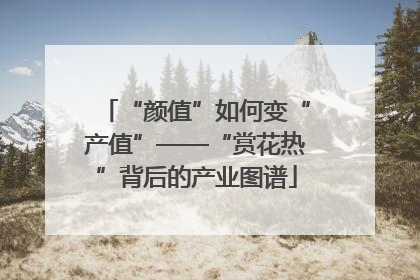 “颜值”如何变“产值”——“赏花热”背后的产业图谱