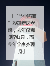“鸟中熊猫”彩鹮定居孝感，去年仅观测到1只，而今年全家齐现身