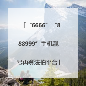 “6666”“888999”手机靓号再登法拍平台