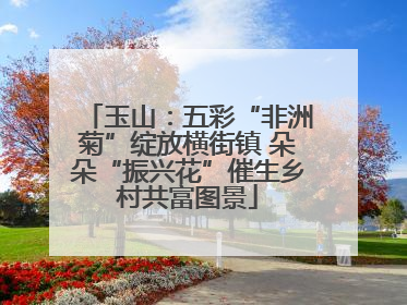 玉山：五彩“非洲菊”绽放横街镇 朵朵“振兴花”催生乡村共富图景