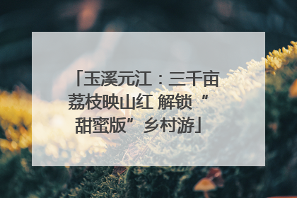 玉溪元江：三千亩荔枝映山红 解锁“甜蜜版”乡村游