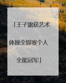 王子露获艺术体操全锦赛个人全能冠军