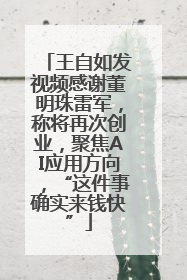 王自如发视频感谢董明珠雷军，称将再次创业，聚焦AI应用方向，“这件事确实来钱快”