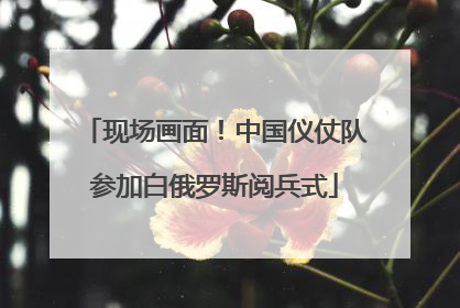 现场画面！中国仪仗队参加白俄罗斯阅兵式