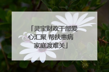 灵宝财政干部爱心汇聚 帮扶患病家庭渡难关