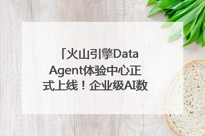 火山引擎Data Agent体验中心正式上线！企业级AI数据专家触手可及